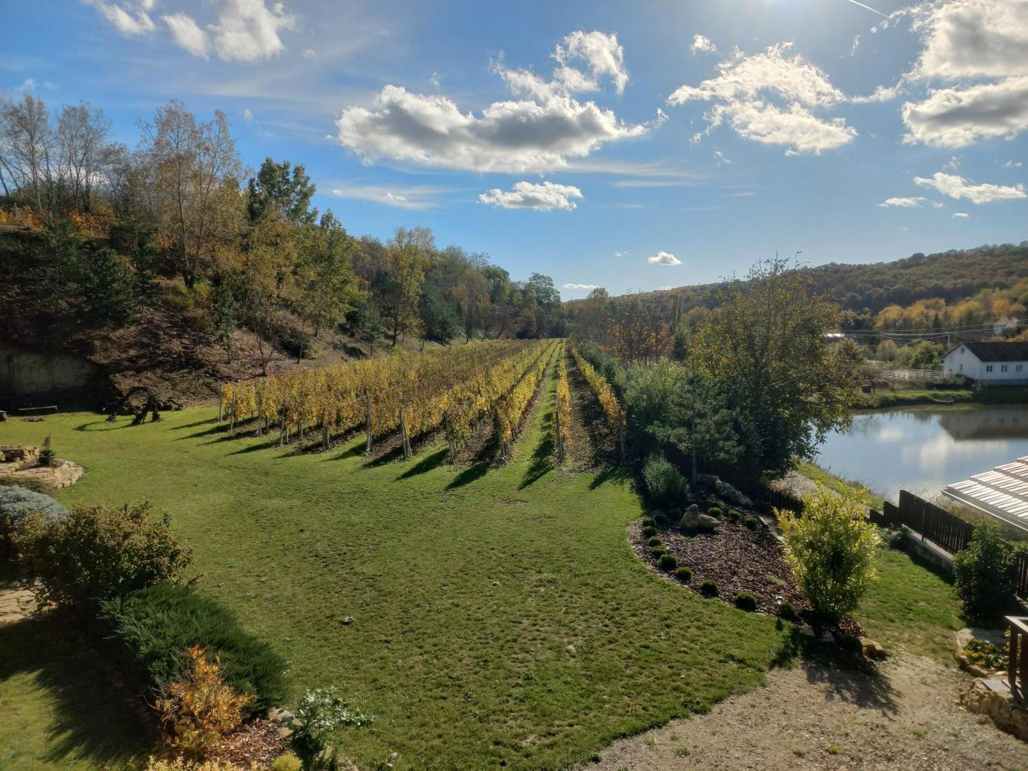 Penzion Ve Vinohrade Nemcicky  Exterior photo