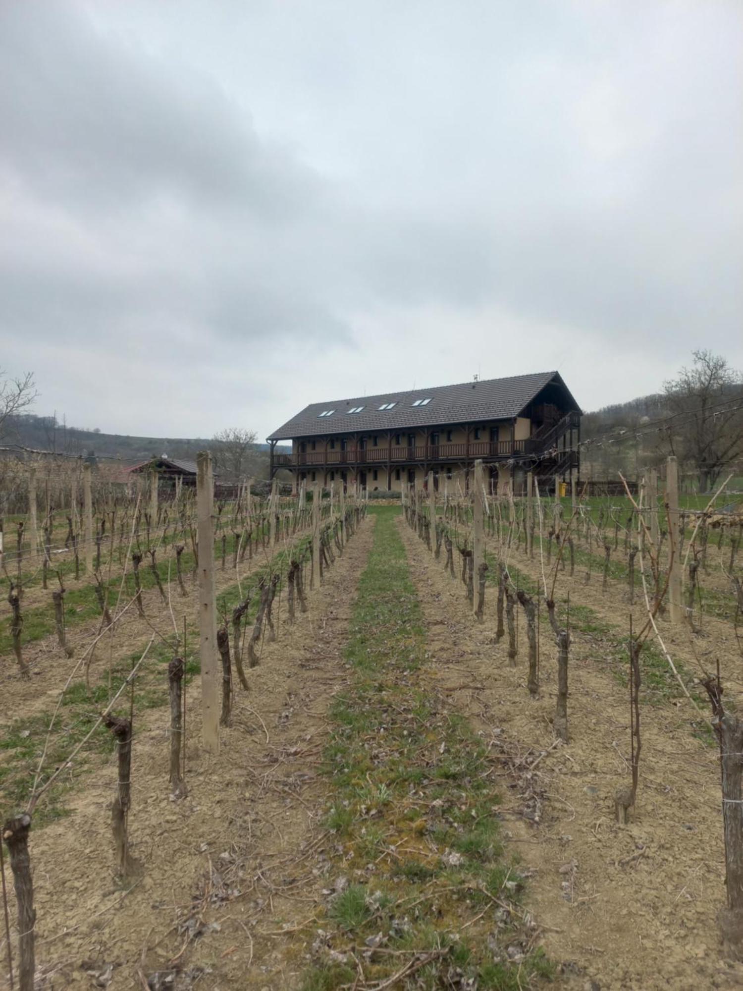Penzion Ve Vinohrade Nemcicky  Exterior photo