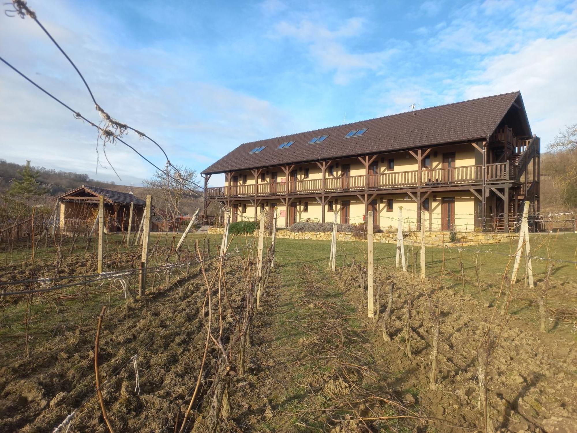 Penzion Ve Vinohrade Nemcicky  Exterior photo