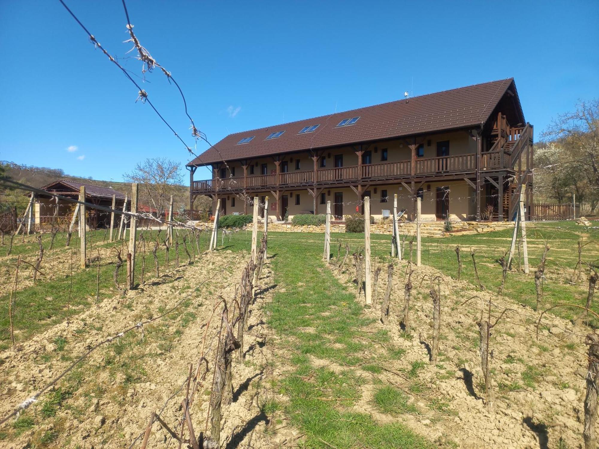 Penzion Ve Vinohrade Nemcicky  Exterior photo